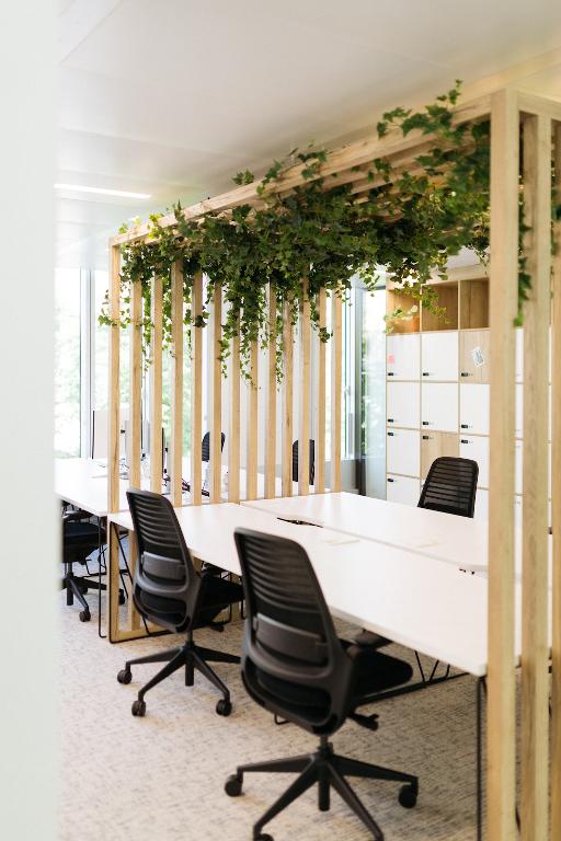 pergola lierre bureau