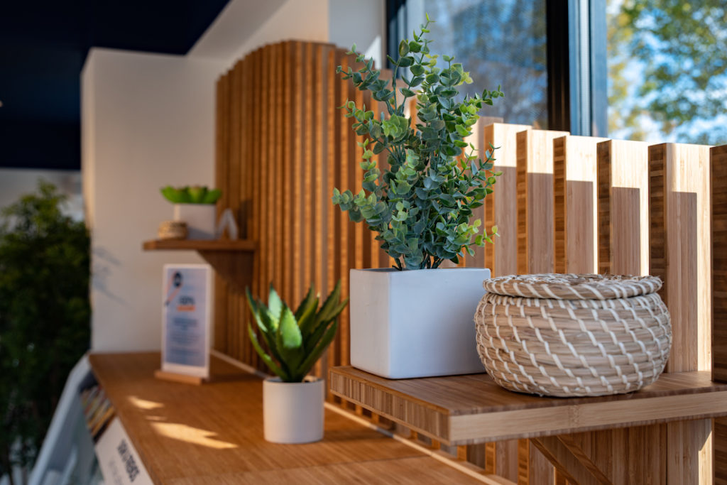 De petites plantes en pot posées à l'intérieur du Taobento bordelais