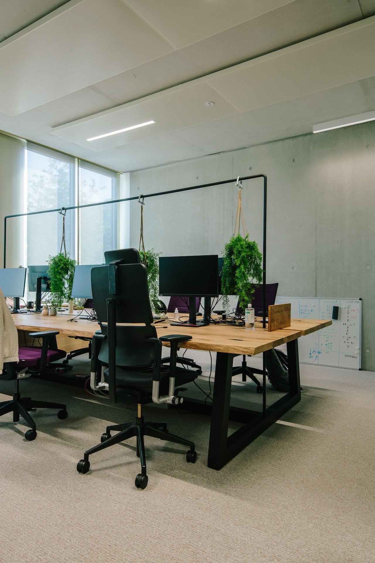 Plantes suspendues à une arche industriel pour un esprit ginguette dans des bureaux