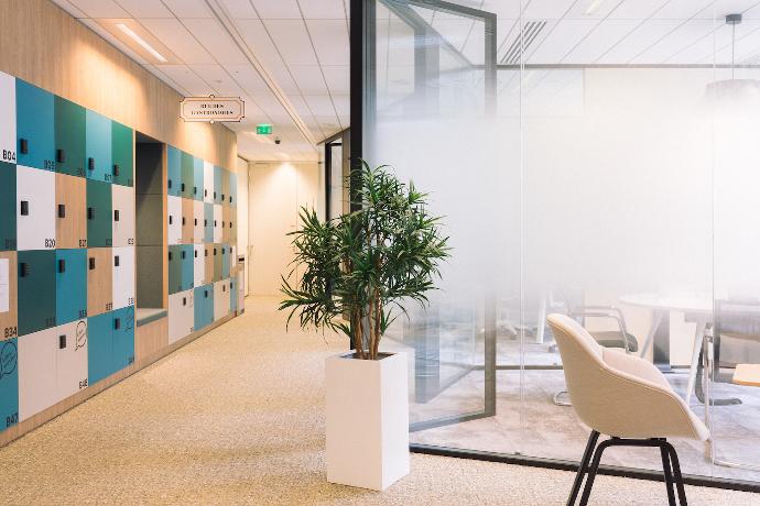 plante-artificielle-bureau-professionnel Dracena dans un espace de passage en plein open space