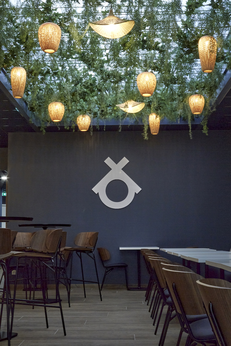 Réalisation d'une pergola végétale permettant d'ombragée l'espace dans les restaurant Taobento à Arras