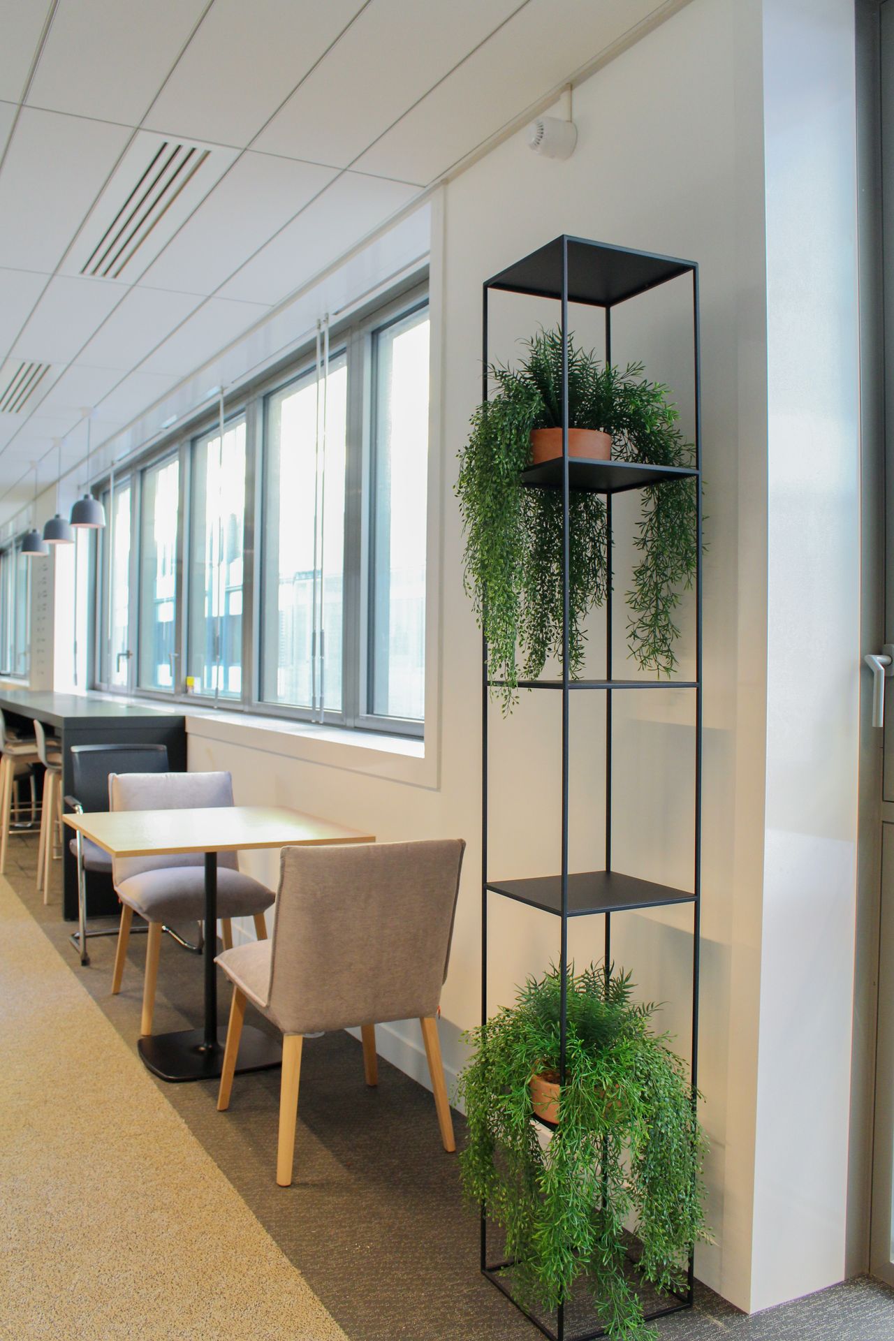 Plantes suspendues pour des bureaux au style industriel