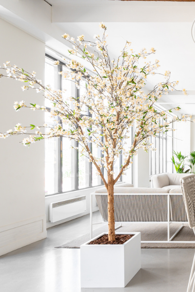 Un cerisier semi-naturel pour végétaliser durablement vos espaces