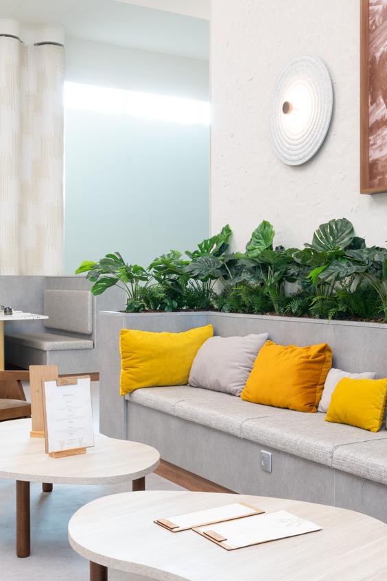 Jardinières ajoutant une touche de verdure à l'espace du restaurant