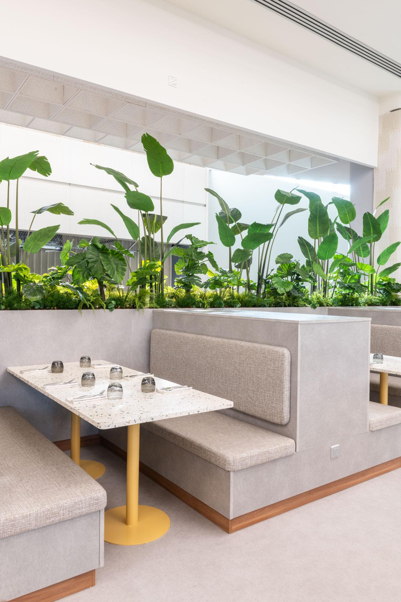 Jardinières végétales ornant le décor d'un restaurant