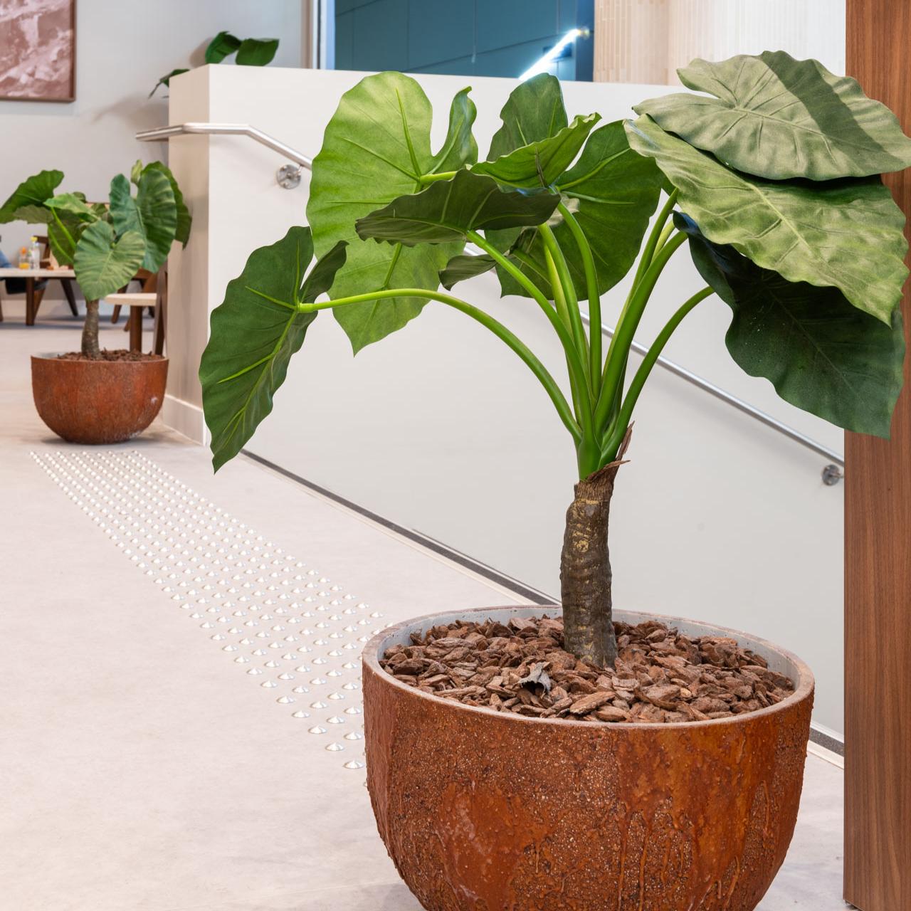 Plantes en pot décoratives pour une atmosphère conviviale