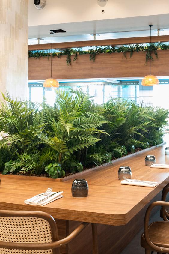 Utilisation de jardinières végétales encastrées dns l'aménagement d'un restaurant