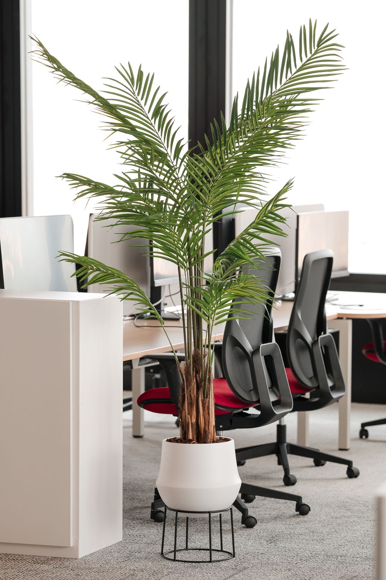 Plante dans un pot cylindrique