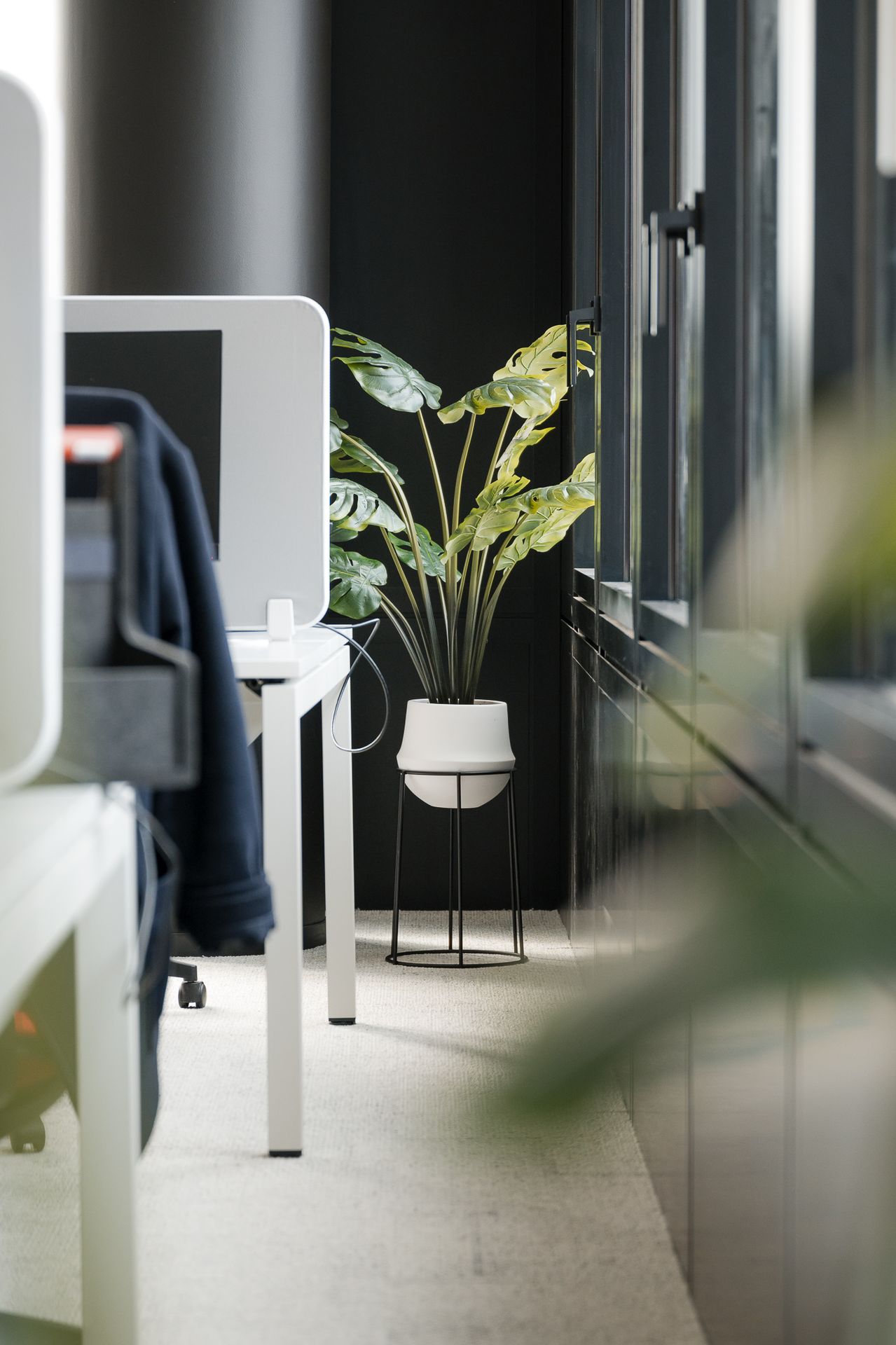 Plante design pour un open space agréable