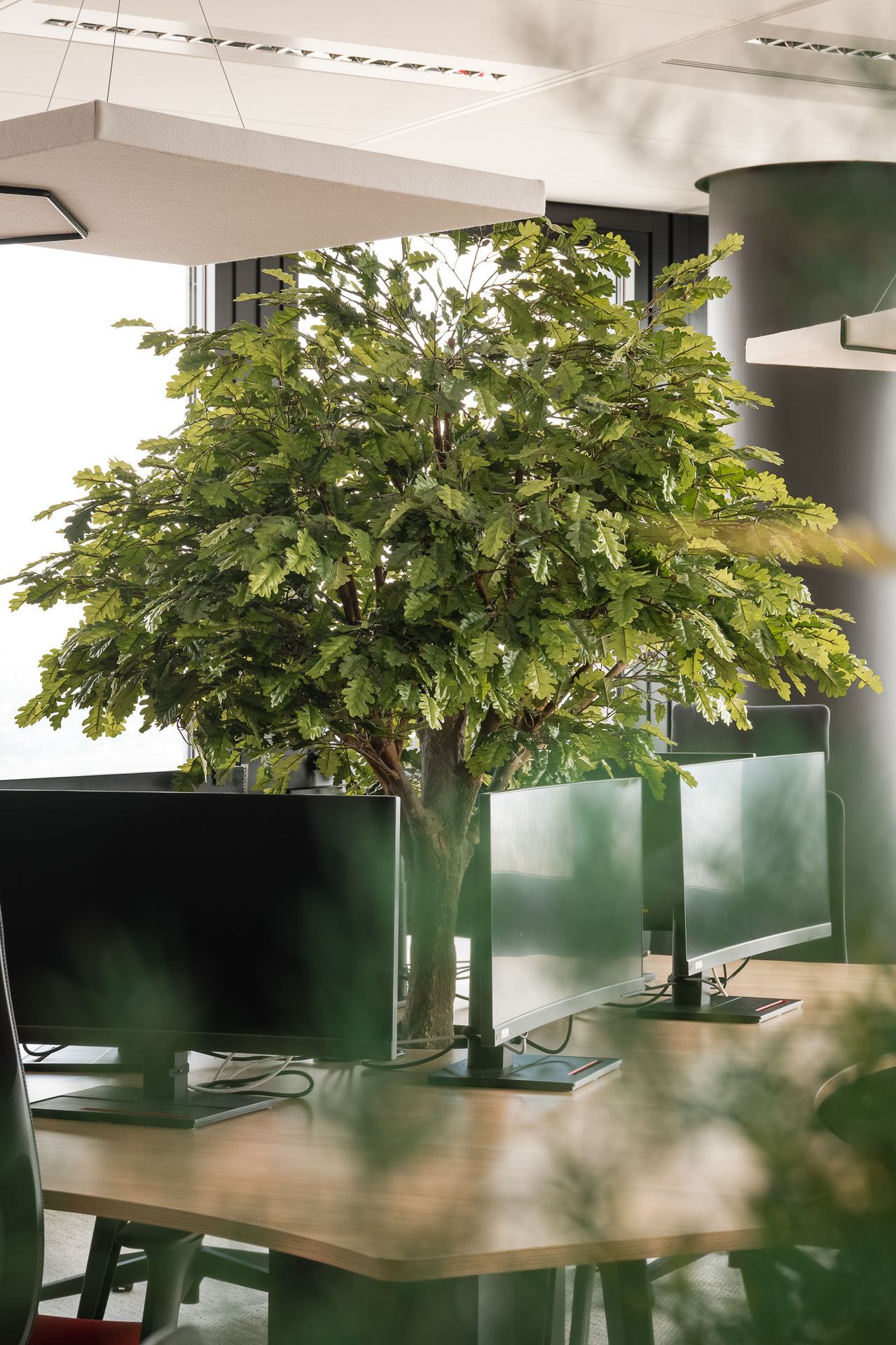 Arbre grandeur nature au coeur d'un espace de travail