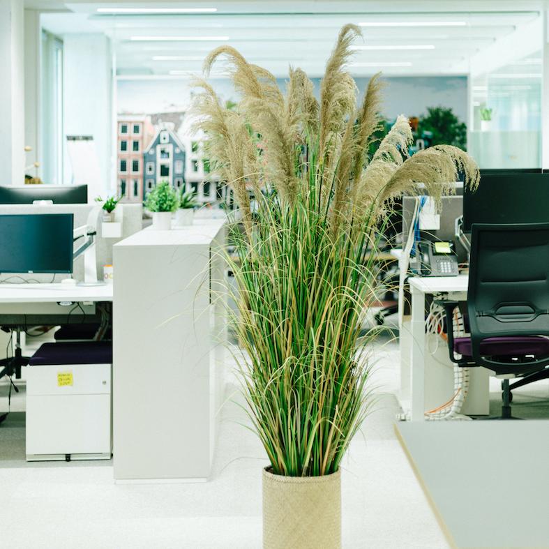 Ajouter des plantes dans un open space