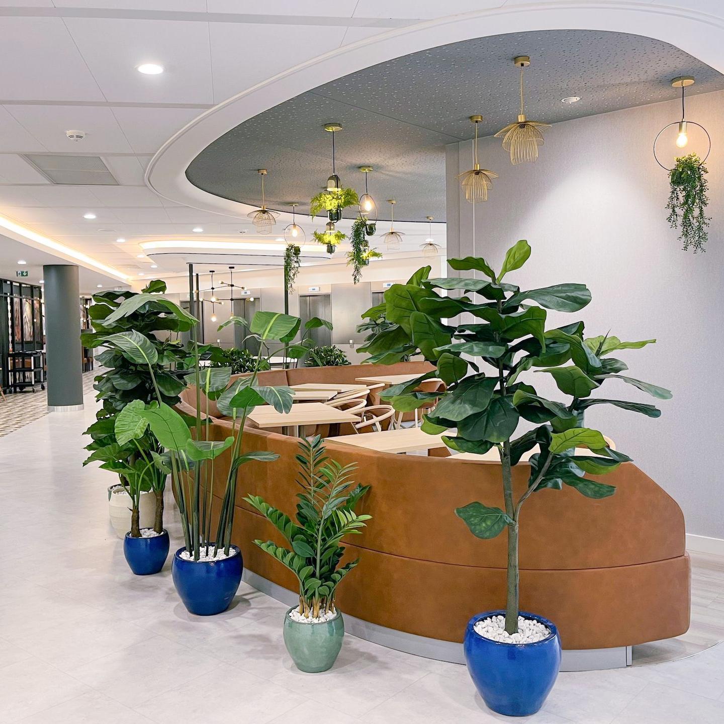 Mixer les plantes pour maximiser l'effet