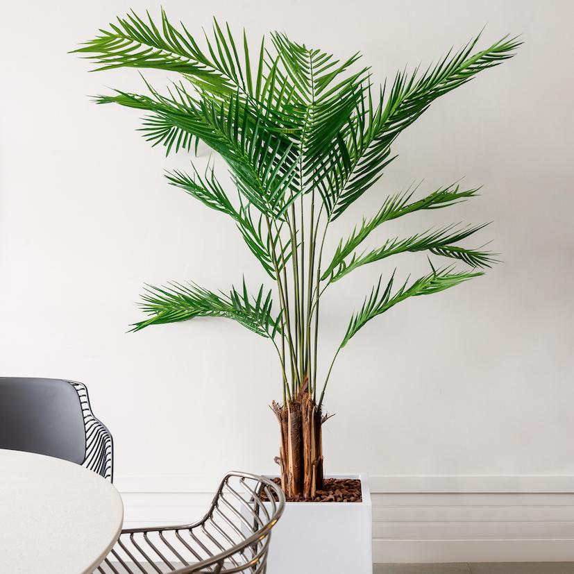 Mettre des plantes dans un espace de restauration a quel prix