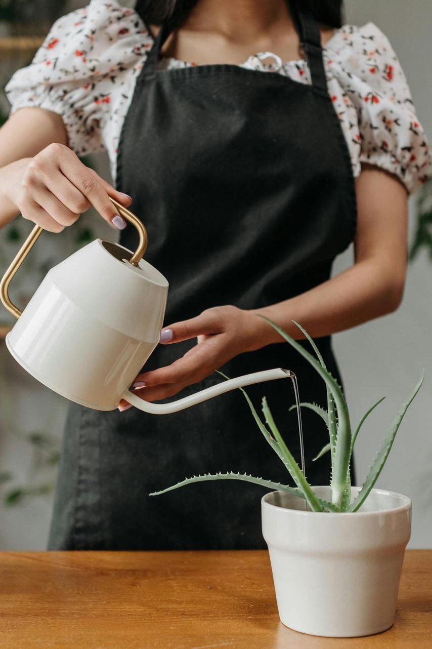 Entretien-de-plantes-naturelles
