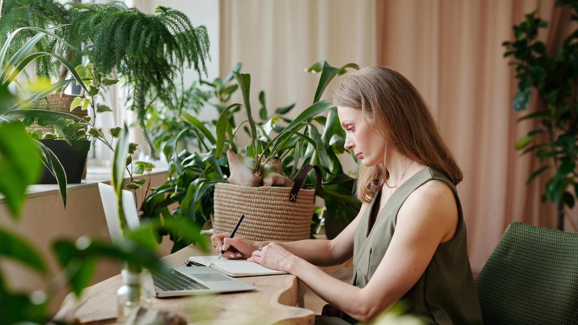 Employee-qui-travaille-dans-un-bureau-vegetalise