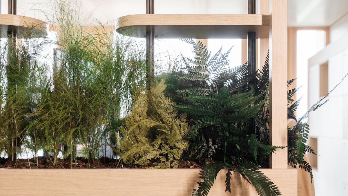 Jardiniere-de-plantes-stabilisees