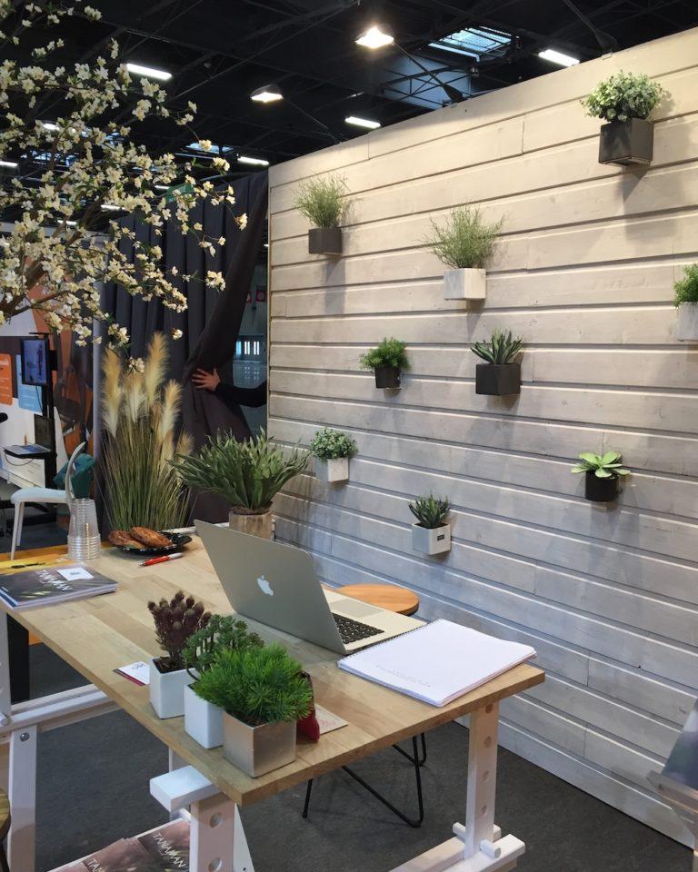 cloison avec petites plantes
