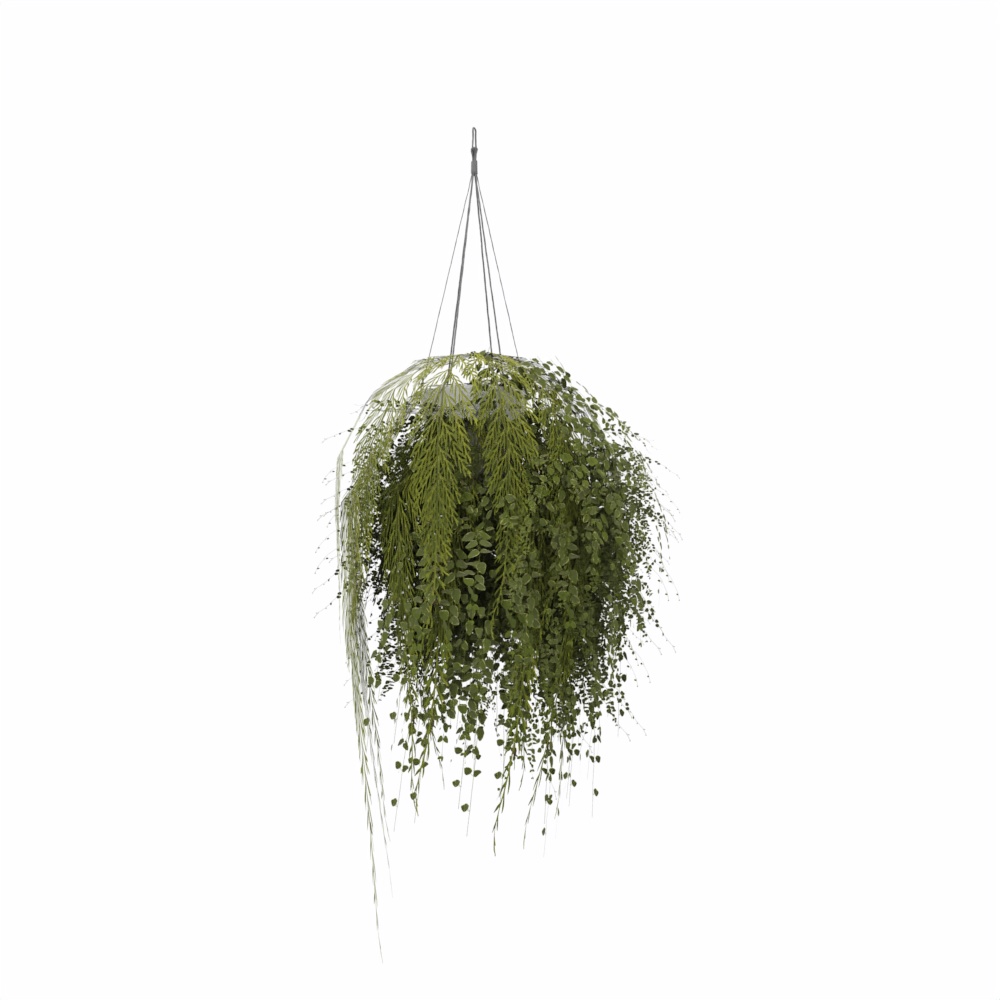 Plante-suspendue-3D