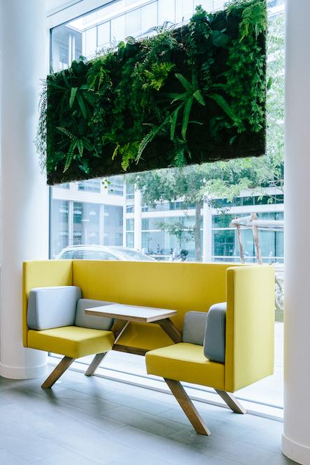 Mur-vegetal-au-dessus-d-un-canape-dans-un-bureau