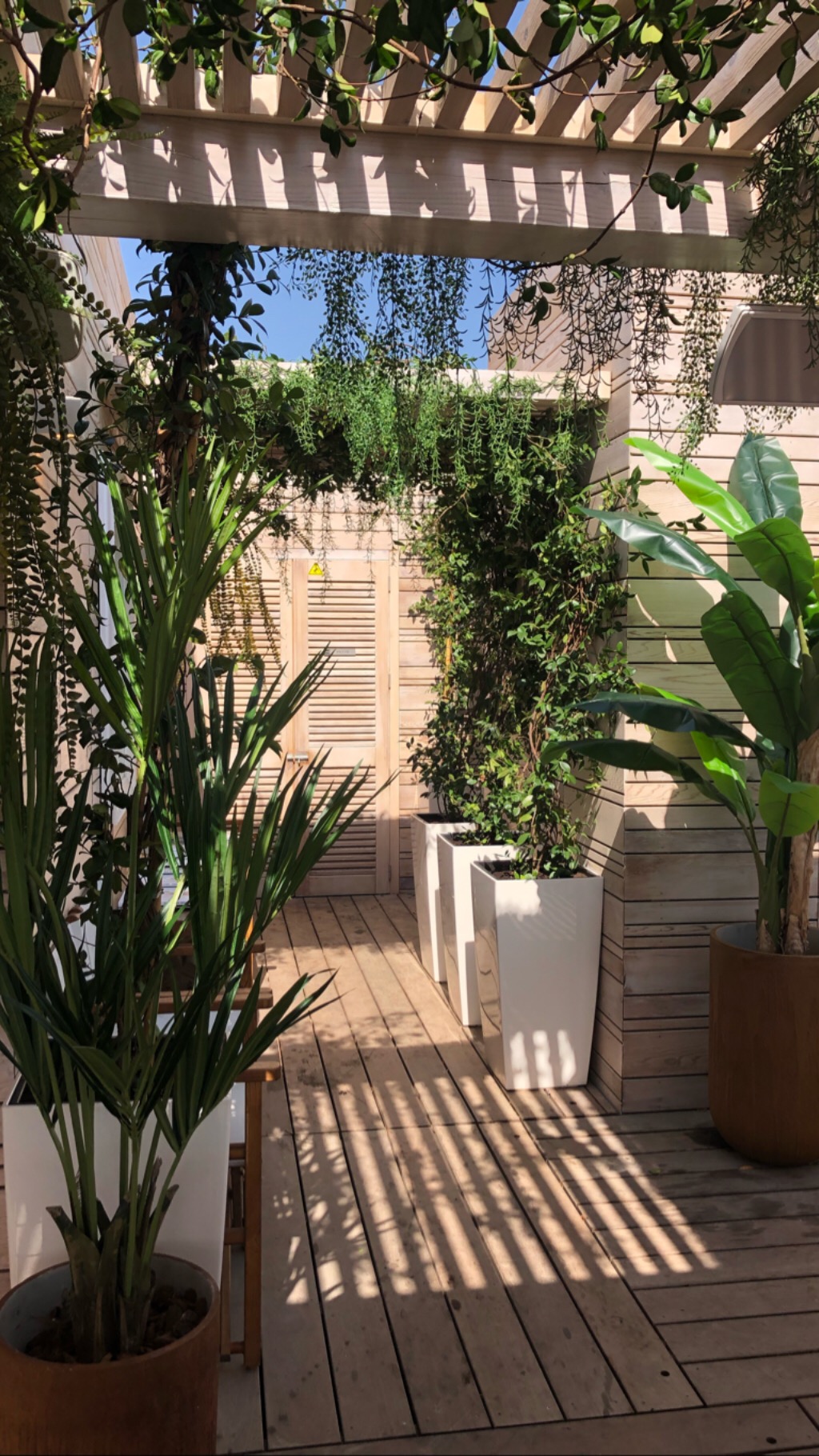 Des plantes sur une terrasse pour améliorer le cadre de vie