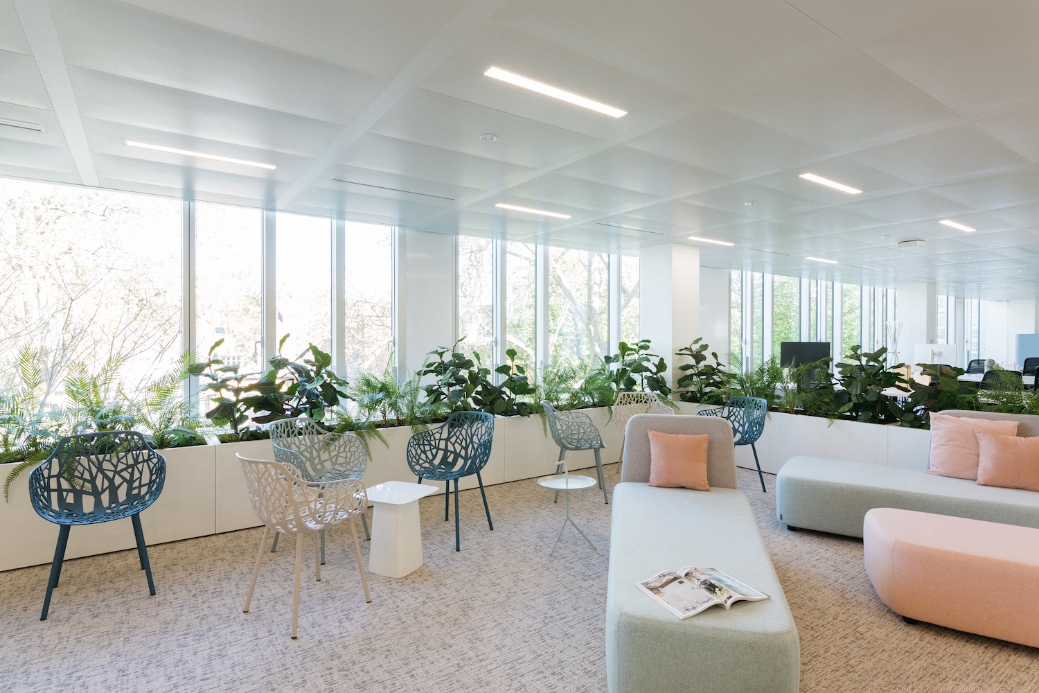 Végétalisation des bureaux de McCann avec des jardinières en guise de séparation