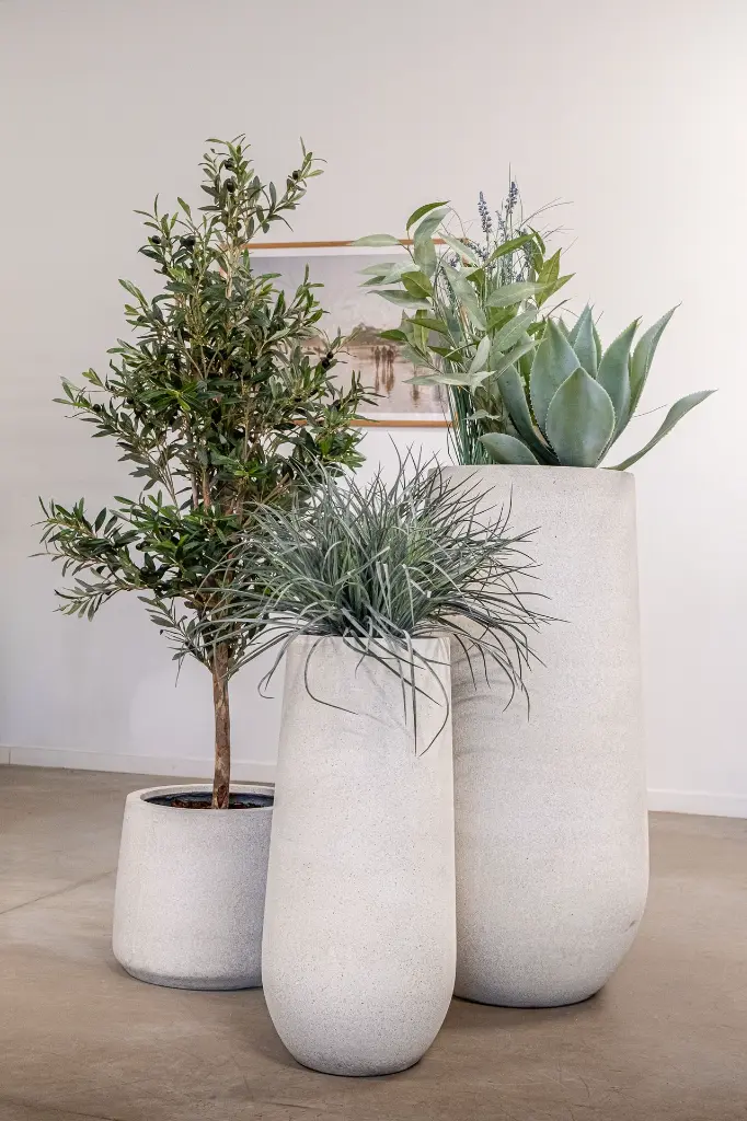 DSCF6525.webp