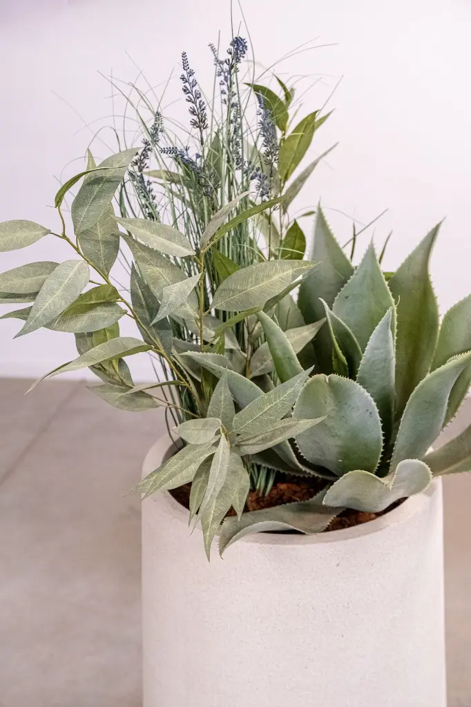 DSCF6532.webp