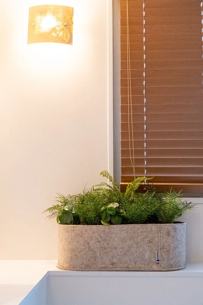 DSCF2587.webp