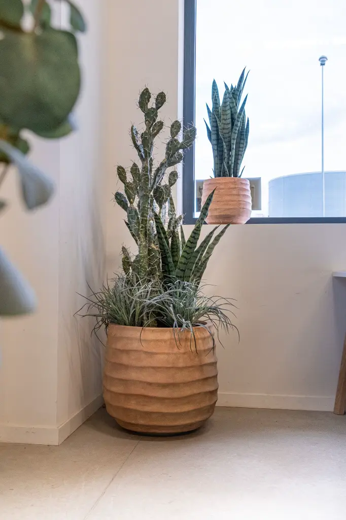 DSCF6981.webp