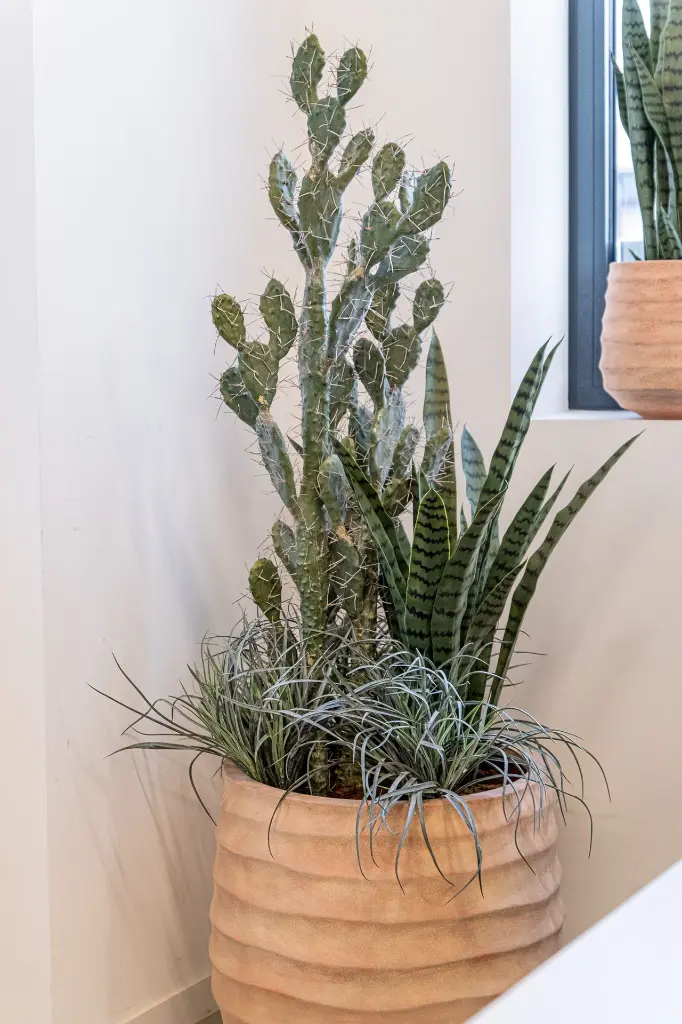 DSCF6958.webp