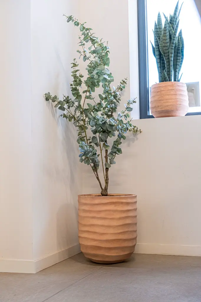 DSCF6992.webp