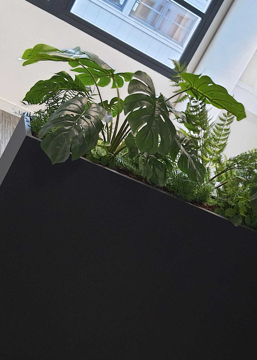 Jardinière Monstera 70 cm - Bac Noir #Artificielle