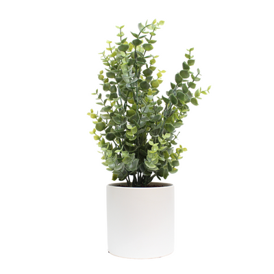Zoom Eucalyptus cylindres végétalisés - Pots Blancs #Artificiel