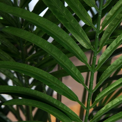 Zoom Areca 200 cm - Pot Marron #Artificiel