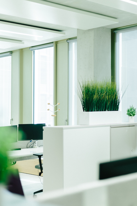 Jardinière Pilat dans un bureau