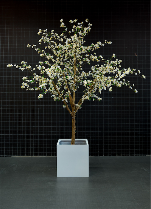 Le Cerisier 240 cm #Semi-naturel