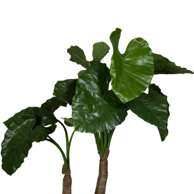 Zoom Grand Alocasia 130 cm - Cube Blanc #Artificiel