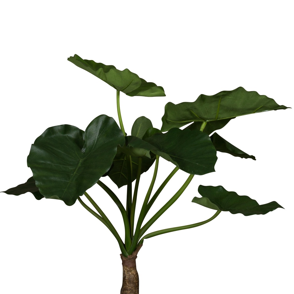 Zoom Petit Alocasia 105 cm - Pot Tressé #Artificiel