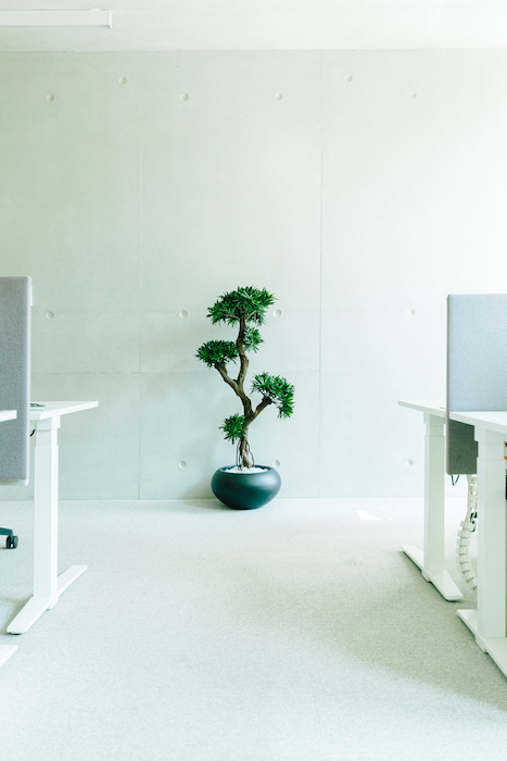 Le Podocarpus 150 cm - Pot Marron #Artificiel