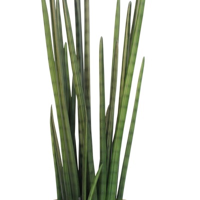 Zoom Sansevieria 105 cm - Cube Noir #Artificiel