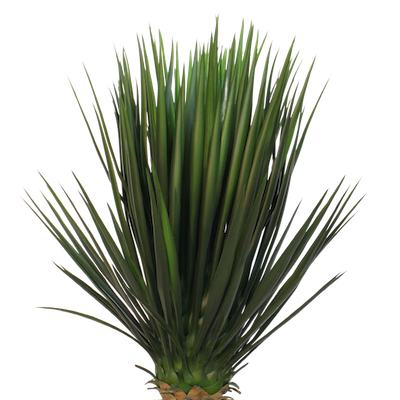 Zoom Yucca 90 cm - Cube Blanc #Artificiel