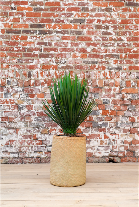 Le Yucca 95 cm - Pot Marron #Artificiel