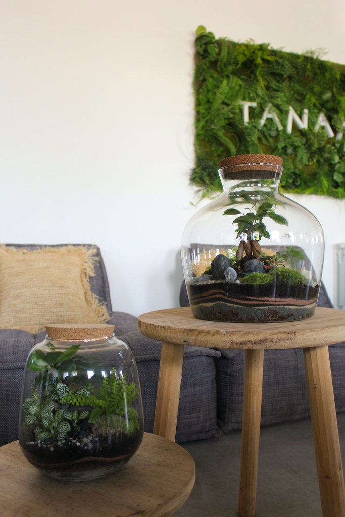 Grand Terrarium #Naturel
