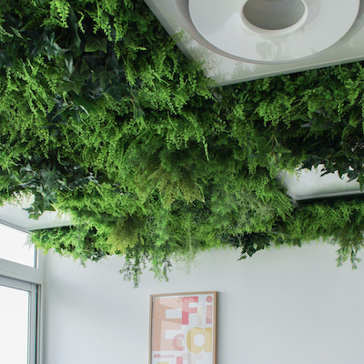 La Dalle Boxwood #Artificiel