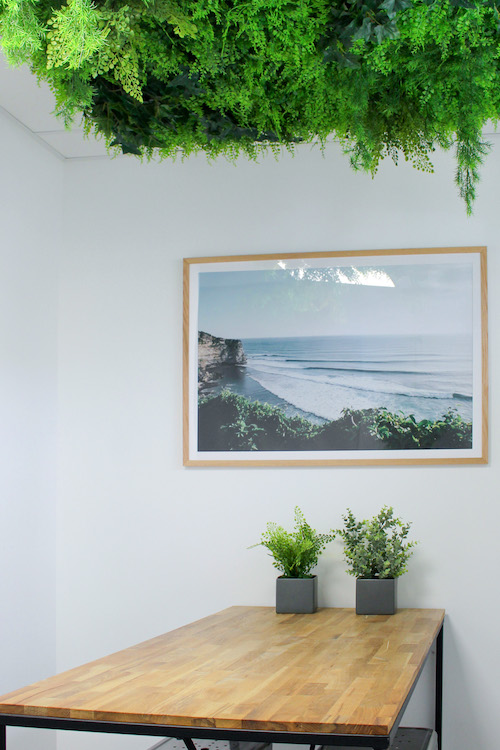 La Dalle Boxwood #Artificiel