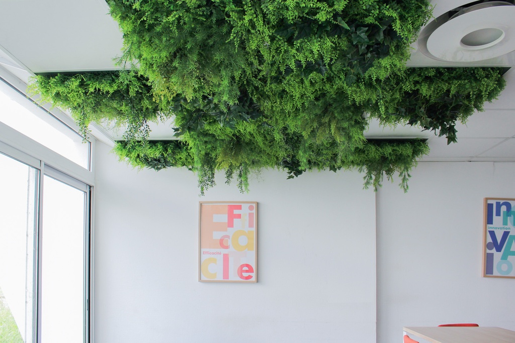 La Dalle Boxwood #Artificiel