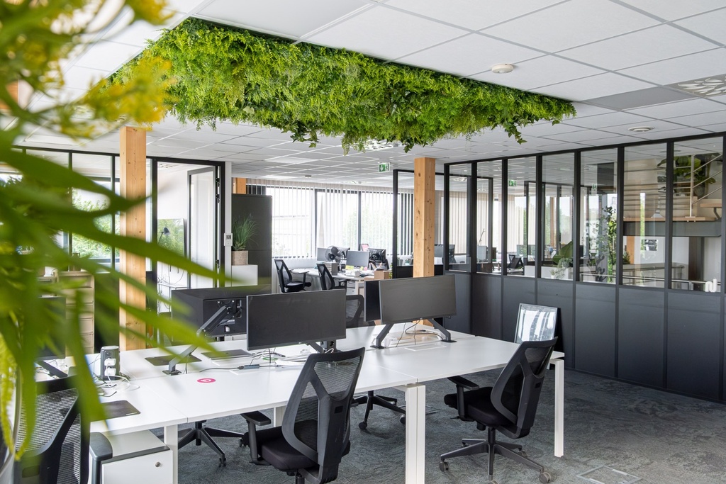 La Dalle Boxwood #Artificiel