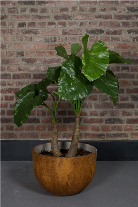 Le Grand Alocasia 135 cm #Artificiel