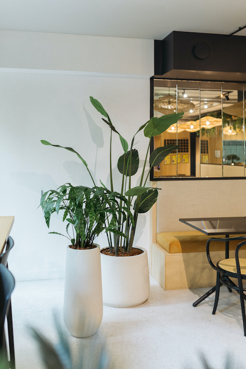 La Calathea - Pot Sable #Artificiel