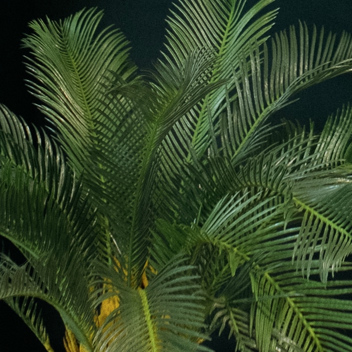 Le Petit Cycas - Pot Oyster #Artificiel